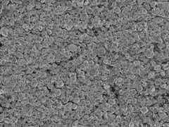 北京當升高功率型鈷酸鋰材料