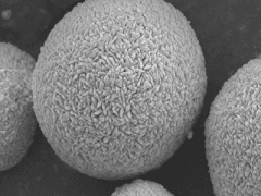 吉林亞融科技——動力型電池用球形氫氧化鎳(包覆鈷類)圖2
