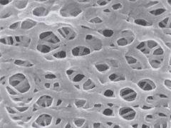 銅陵晶能電鏡*2w