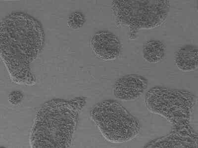 友恒實業(yè)噴涂電池隔膜