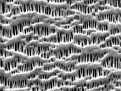 義騰新能源 高倍率微孔單層隔膜圖2