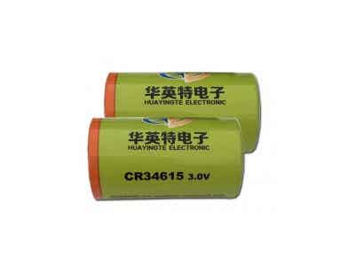 華英特 野外智能水文監測儀專用 鋰錳電池圖2