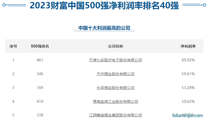 中國十大利潤最高的公司