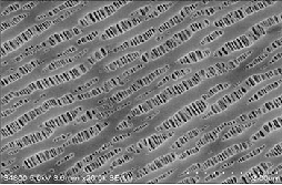 PP單層復(fù)合隔膜