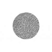 滄州明珠濕法同步雙向拉伸隔膜