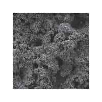 璞泰來(lái) 陶瓷+PVDF涂層