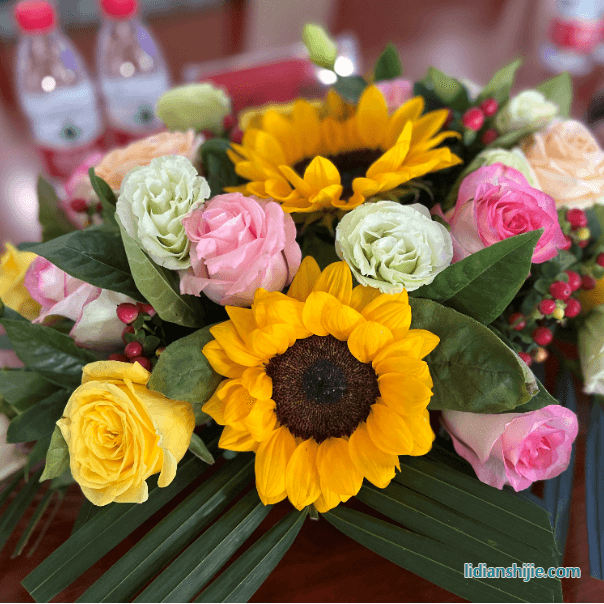 四川省南充市領導蒞臨和潤達視察指導工作